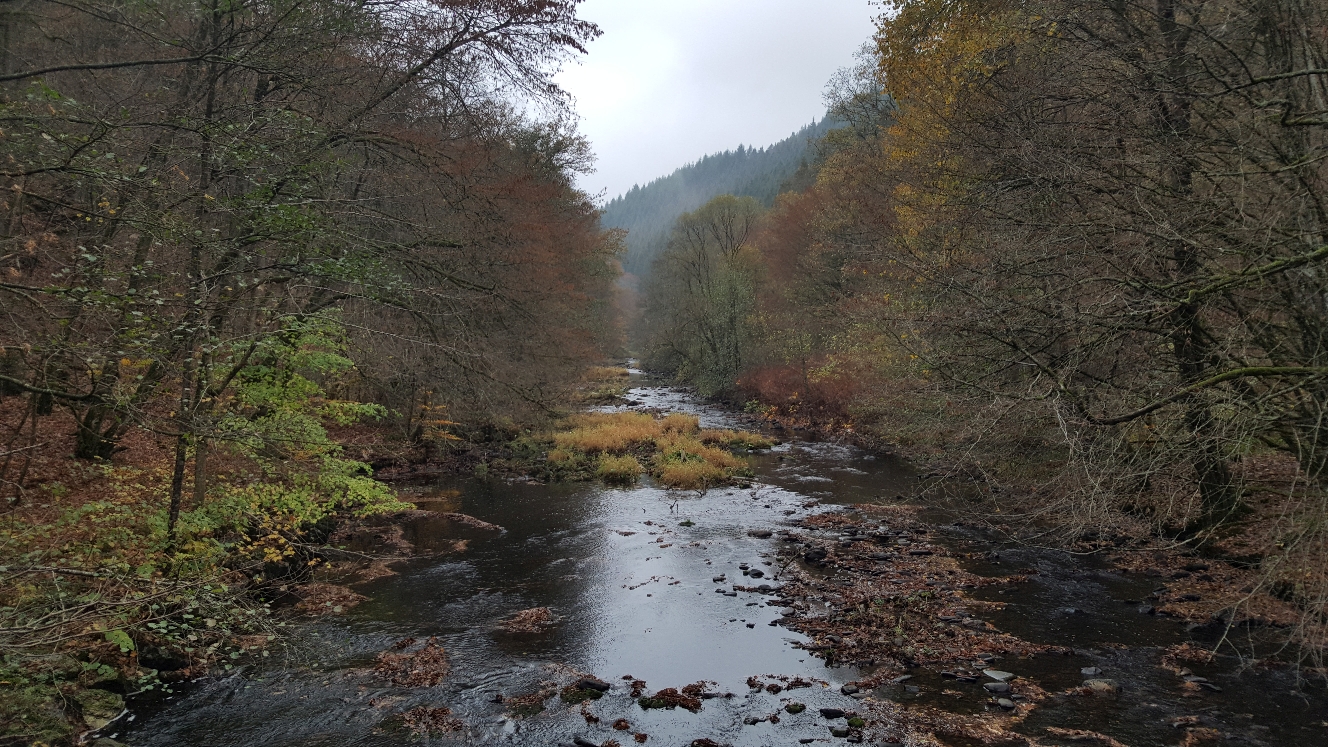 Durchs Rurtal nach Monschau (10/2018)