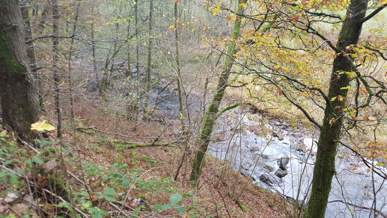 Durchs Rurtal nach Monschau (10/2018)