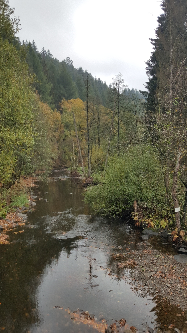 Durchs Rurtal nach Monschau (10/2018)