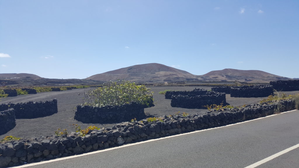 Lanzarote (27.08. - 03.09.2019)
