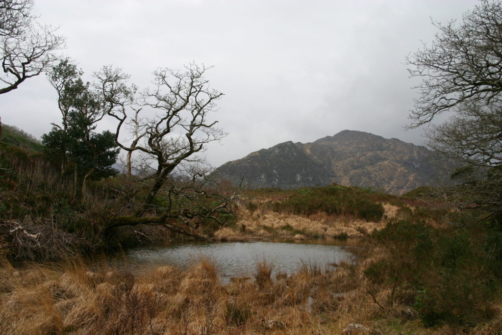 Irland - die grüne Insel (2008-2015)