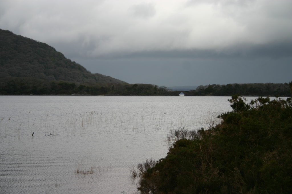 Irland - die grüne Insel (2008-2015)