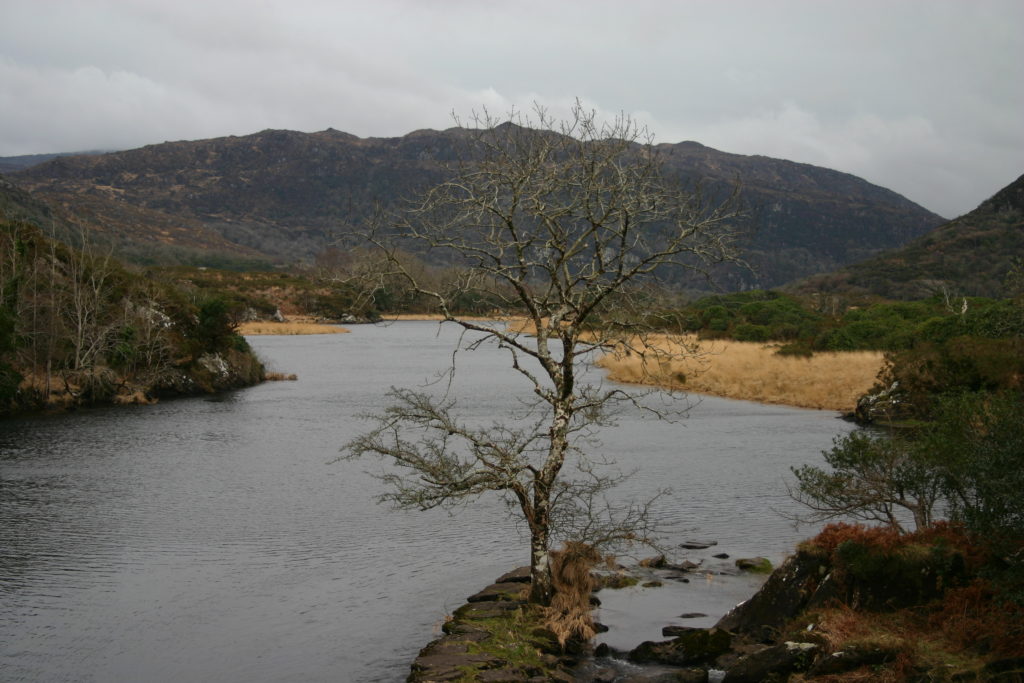 Irland - die grüne Insel (2008-2015)