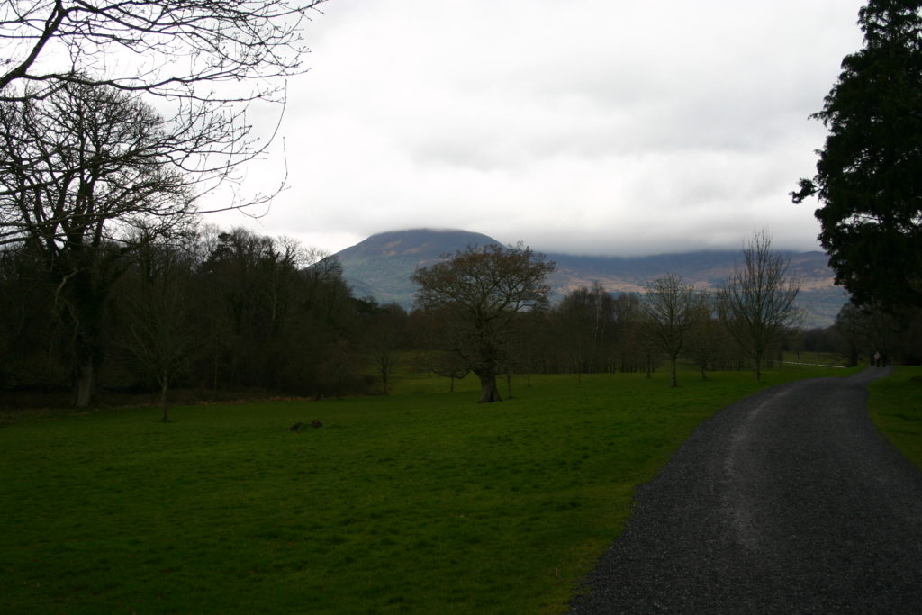 Irland - die grüne Insel (2008-2015)