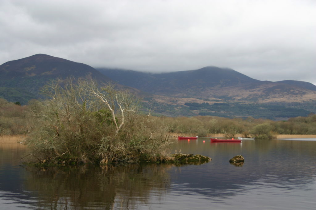 Irland - die grüne Insel (2008-2015)