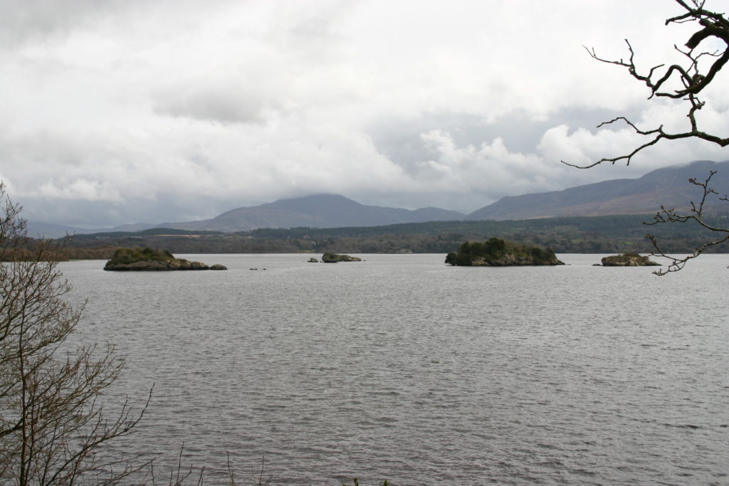 Irland - die grüne Insel (2008-2015)