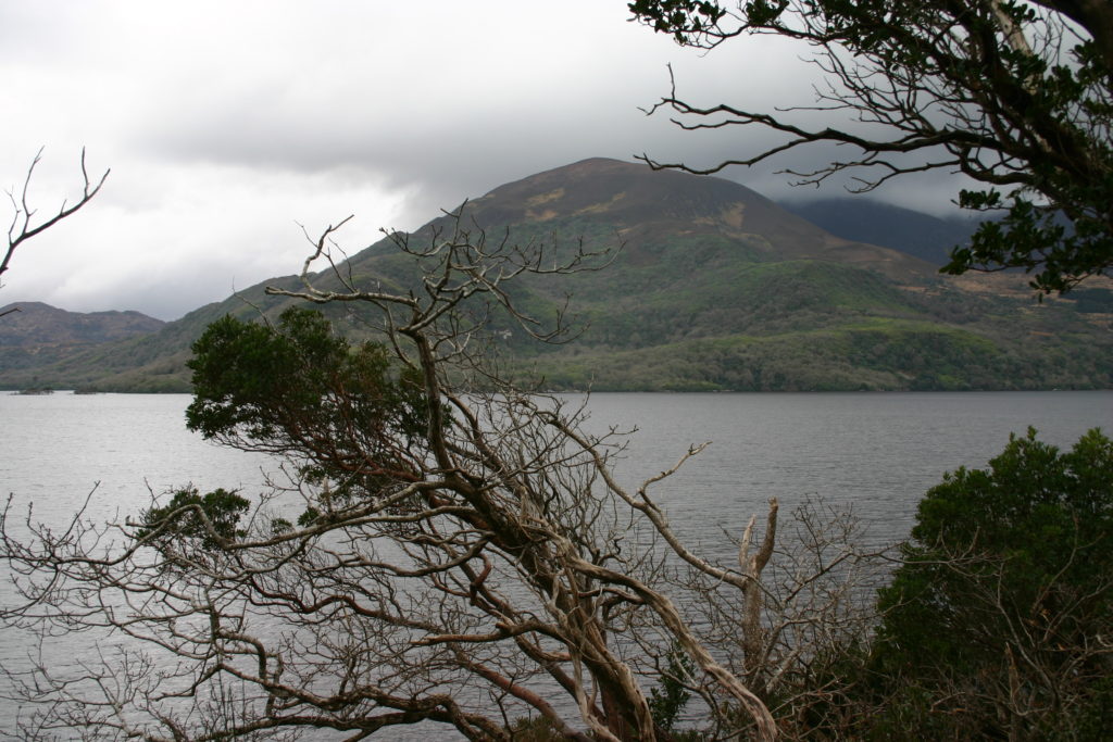 Irland - die grüne Insel (2008-2015)