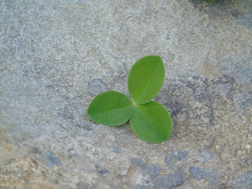 Irland - die grüne Insel (2008-2015)