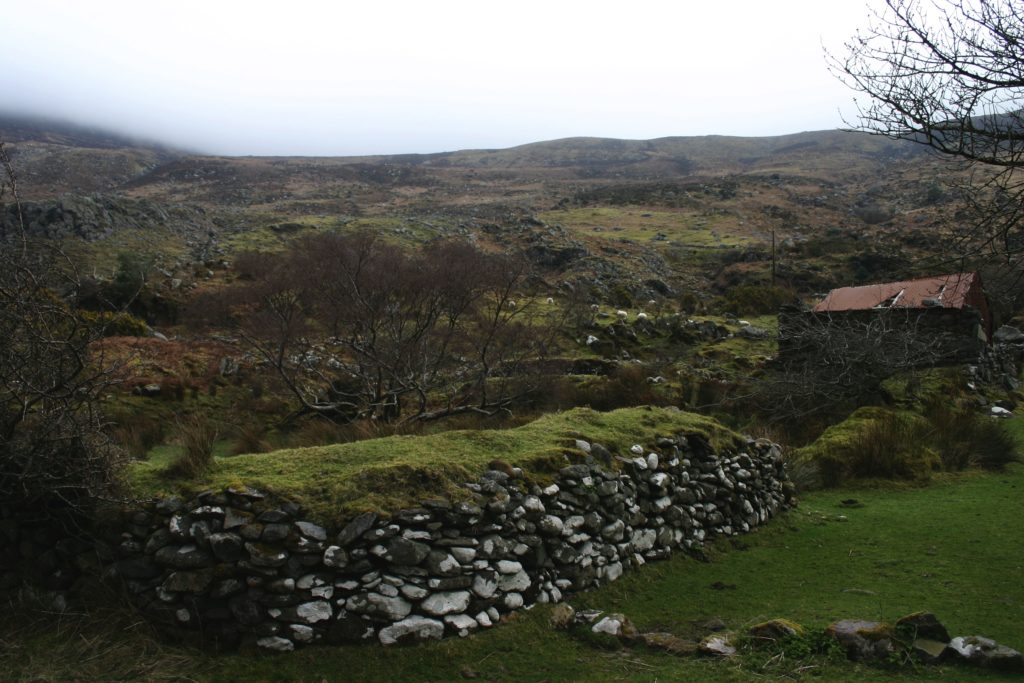 Irland - die grüne Insel (2008-2015)