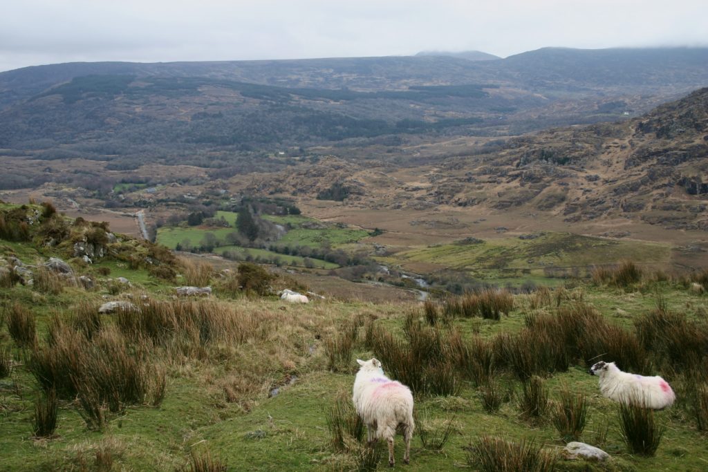 Irland - die grüne Insel (2008-2015)