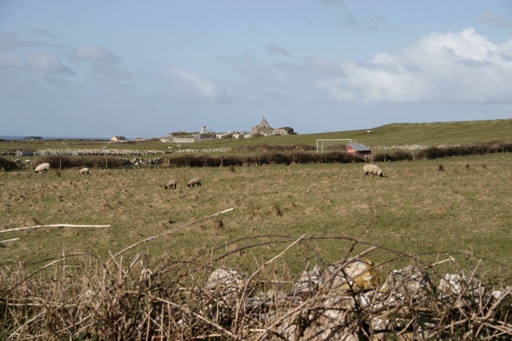 Irland - die grüne Insel (2008-2015)