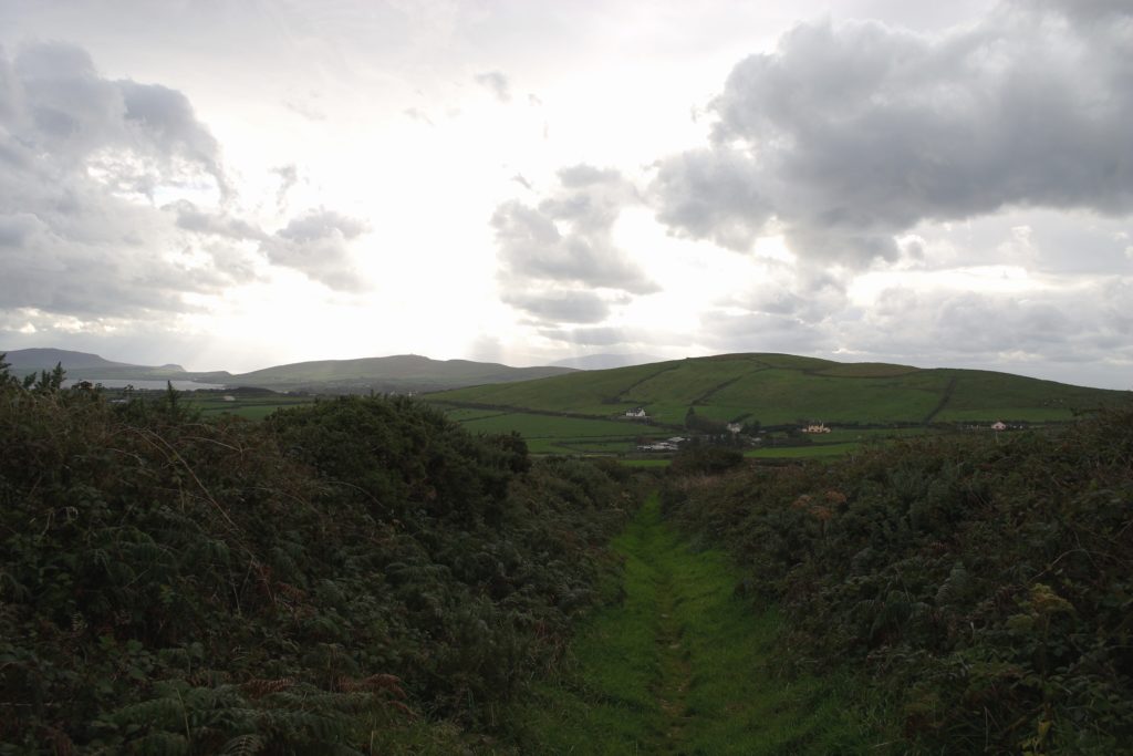 Irland - die grüne Insel (2008-2015)