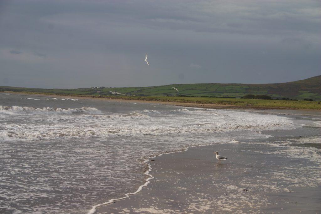 Irland - die grüne Insel (2008-2015)