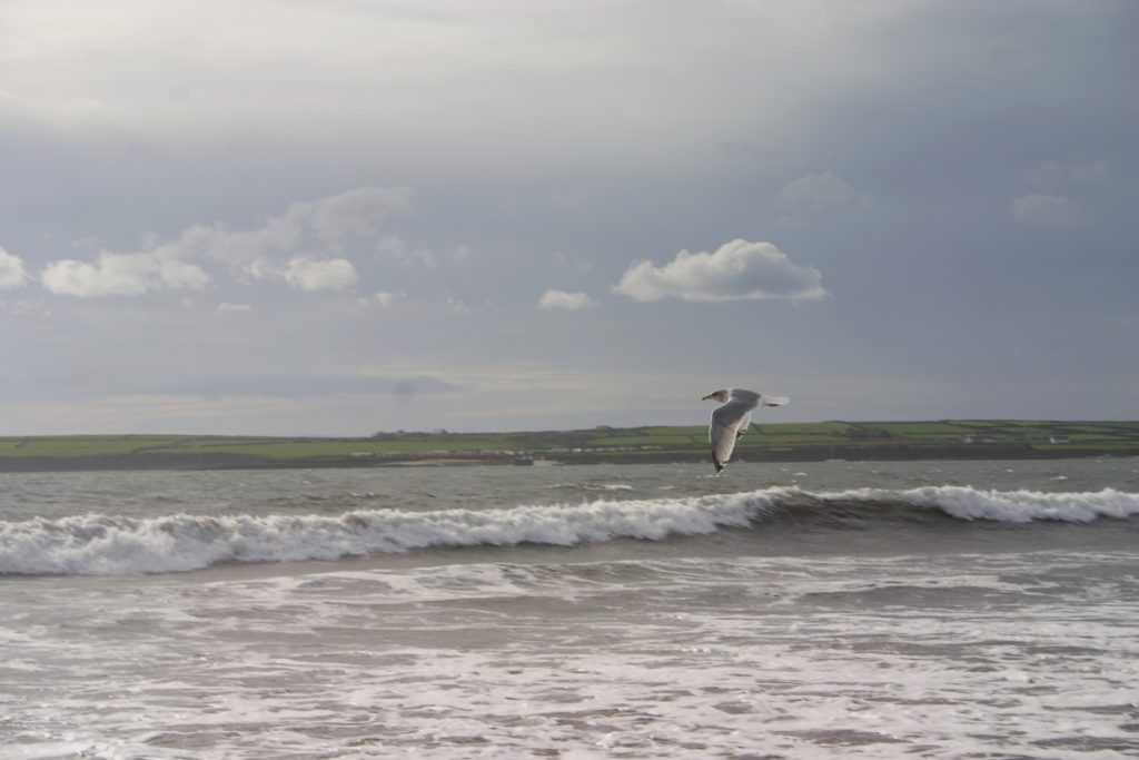 Irland - die grüne Insel (2008-2015)