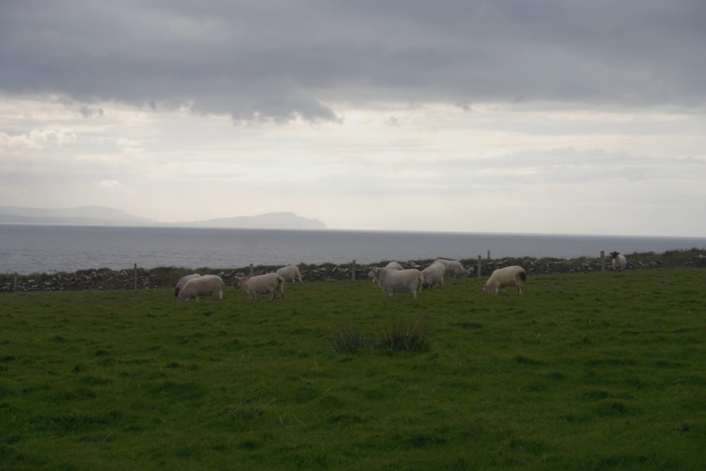 Irland - die grüne Insel (2008-2015)