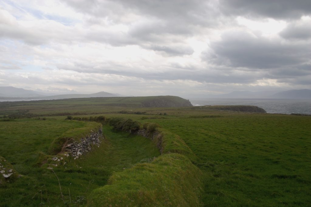 Irland - die grüne Insel (2008-2015)