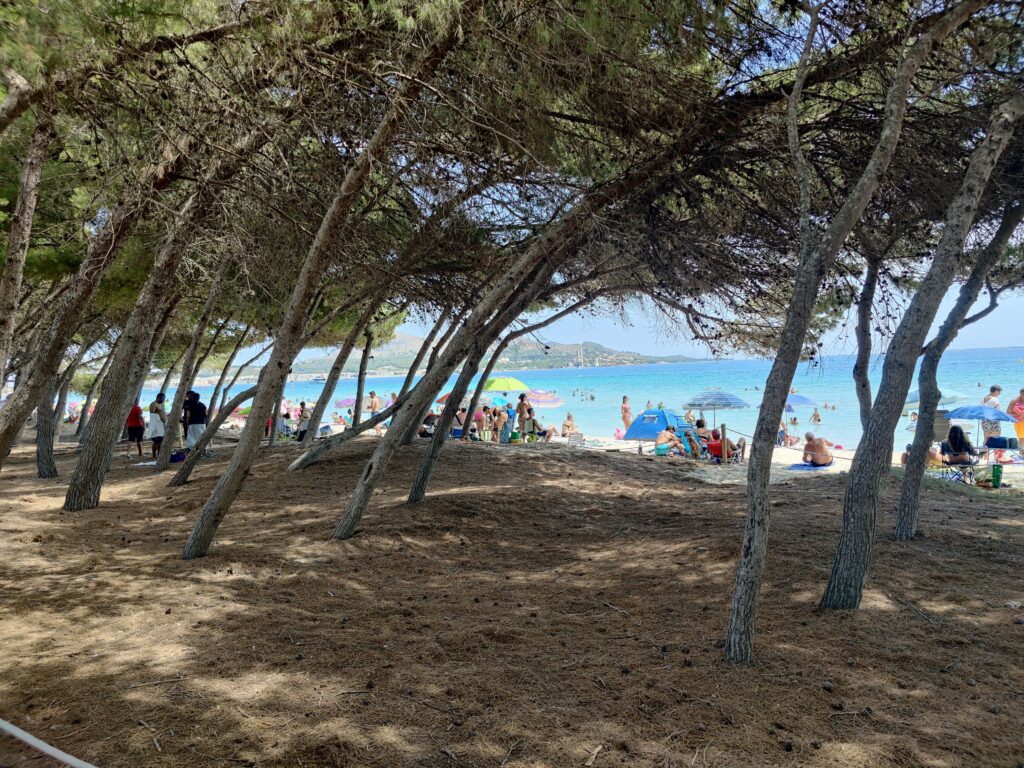 It's Ca’n Picalifornication – Time... Again!!! (Mallorca August 2022)