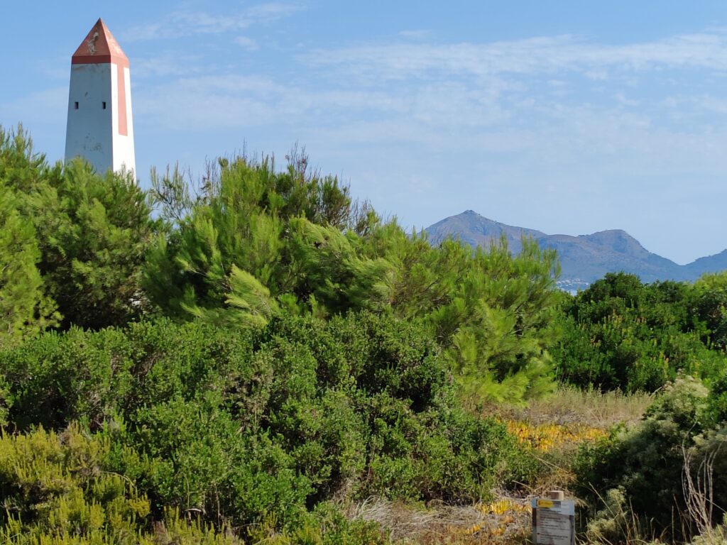It's Ca’n Picalifornication – Time... Again!!! (Mallorca August 2022)