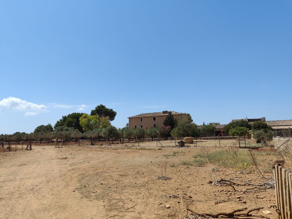 It's Ca’n Picalifornication – Time... Again!!! (Mallorca August 2022)
