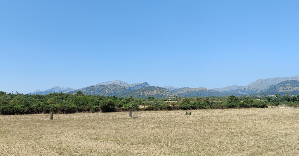It's Ca’n Picalifornication – Time... Again!!! (Mallorca August 2022)