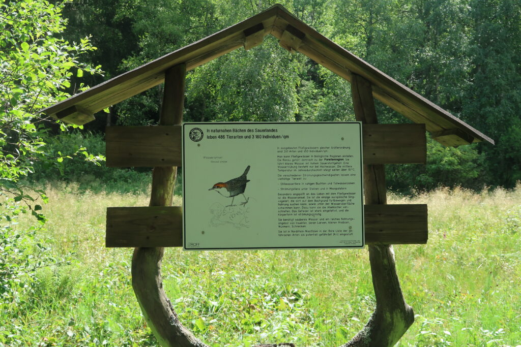 Wanderung von Silbach zum Kahlen Asten und zurück