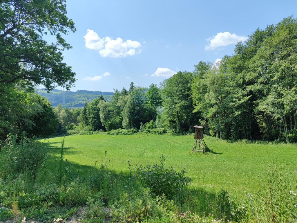 Wanderung von Bestwig nach Meschede/Wanderung  Willingen mit Begehung Skywalk, Juli 2023