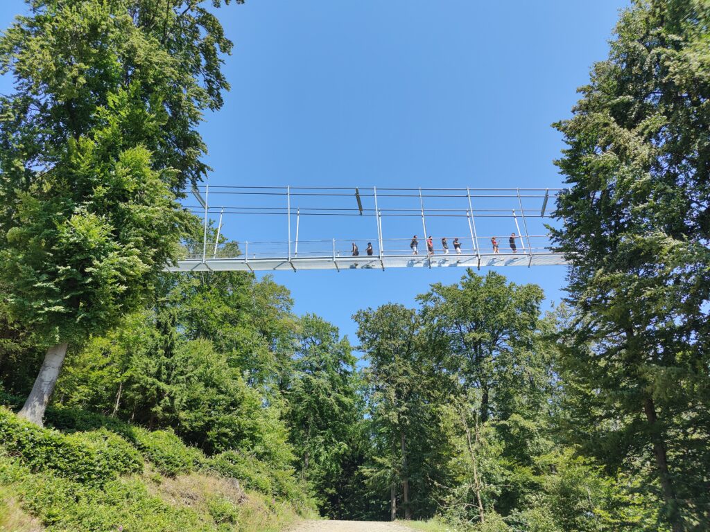 Wanderung von Bestwig nach Meschede/Wanderung  Willingen mit Begehung Skywalk, Juli 2023