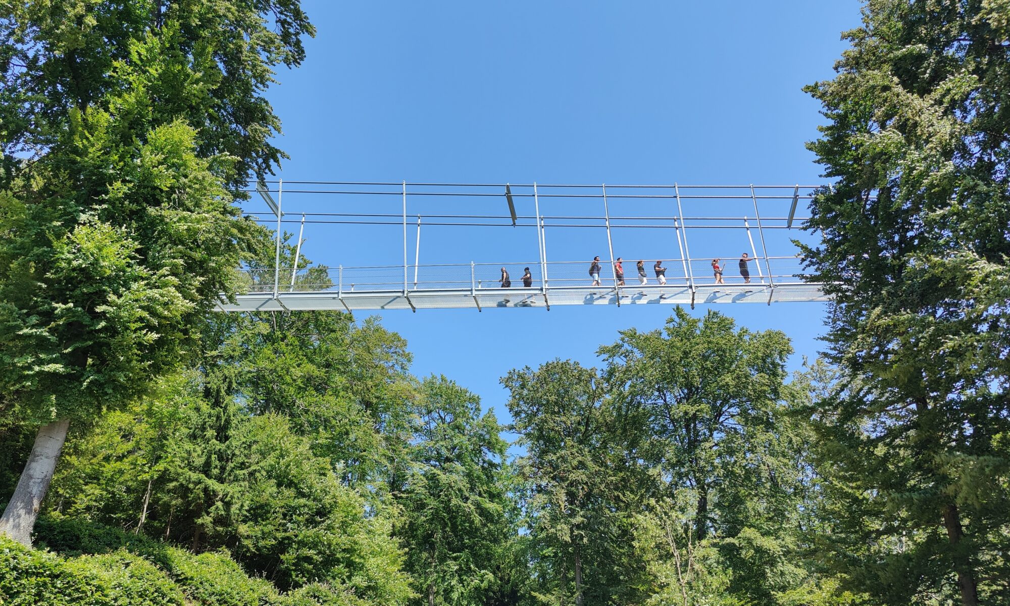 Wanderung von Bestwig nach Meschede/Wanderung  Willingen mit Begehung Skywalk, Juli 2023