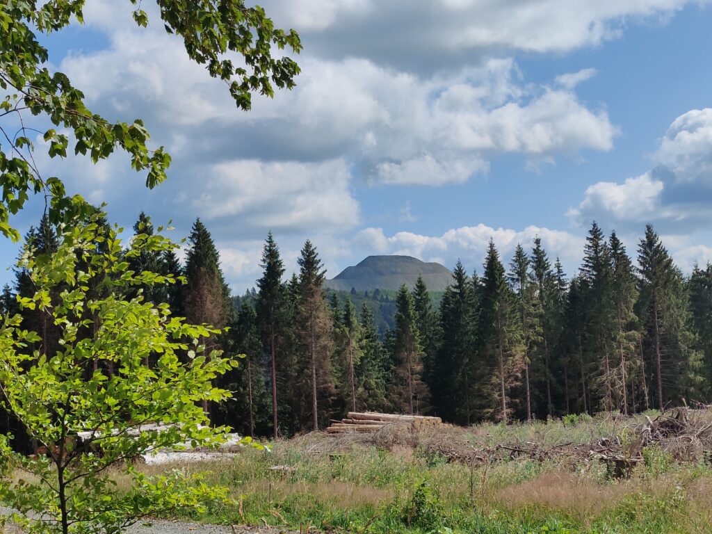 Wanderung von Silbach zum Kahlen Asten und zurück