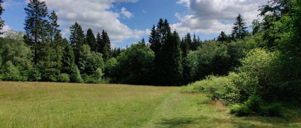 Wanderung von Silbach zum Kahlen Asten und zurück