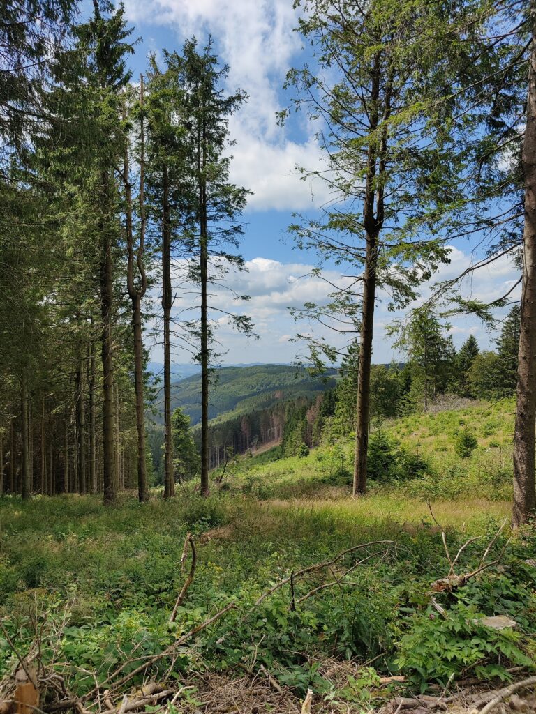 Wanderung von Silbach zum Kahlen Asten und zurück