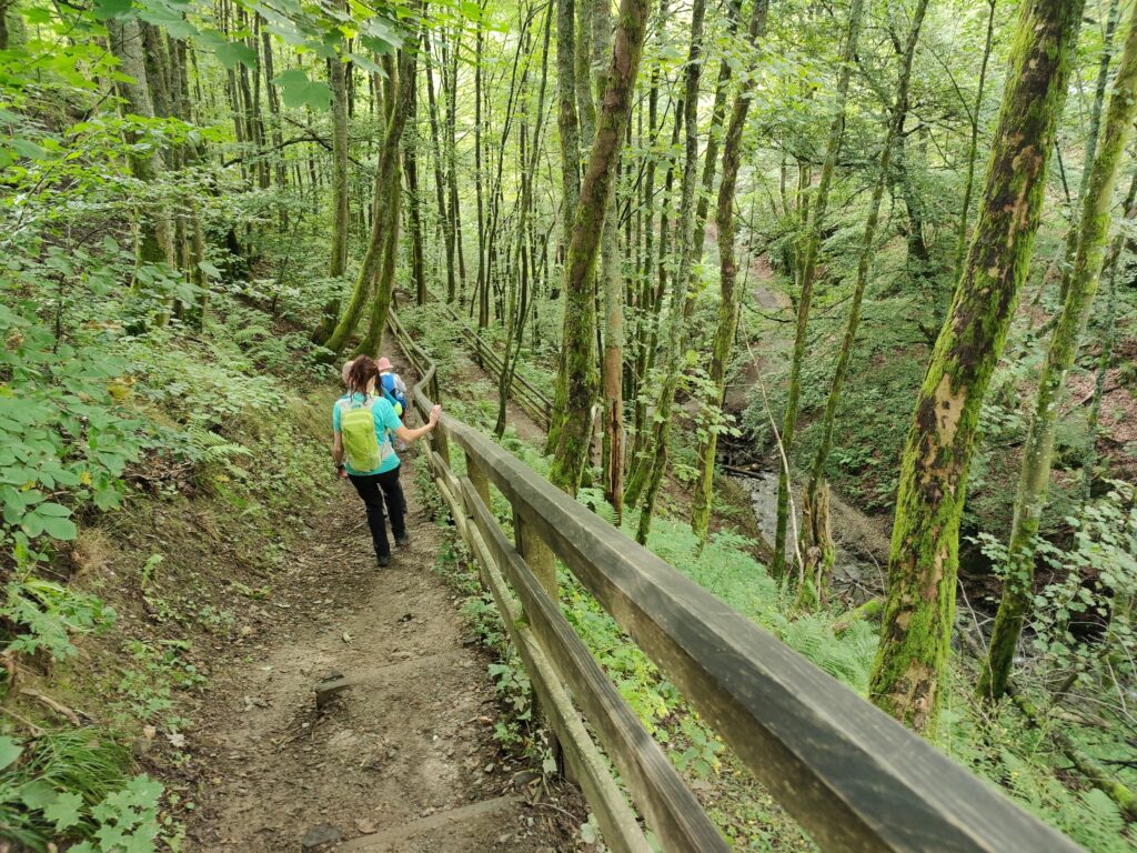 Rundwanderung durch die Hochheide Hoher Hagen bei Winterberg, 08/2023