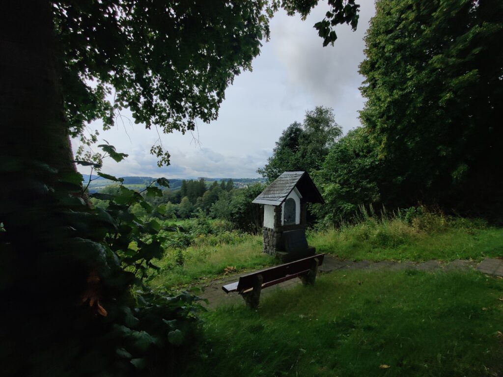 Rundwanderung durch die Hochheide Hoher Hagen bei Winterberg, 08/2023