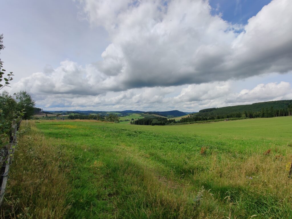 Rundwanderung durch die Hochheide Hoher Hagen bei Winterberg, 08/2023