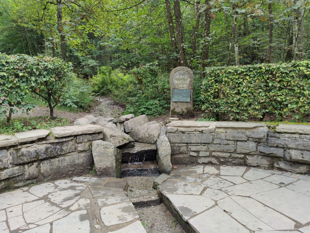 Rundwanderung durch die Hochheide Hoher Hagen bei Winterberg, 08/2023