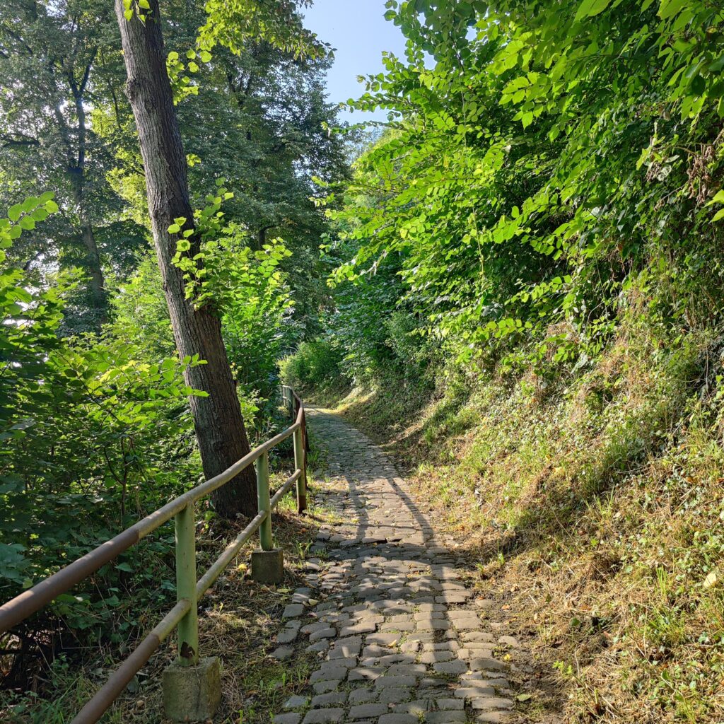 Wanderung auf dem Wennigloher Rundweg bei Arnsberg, 08/2023