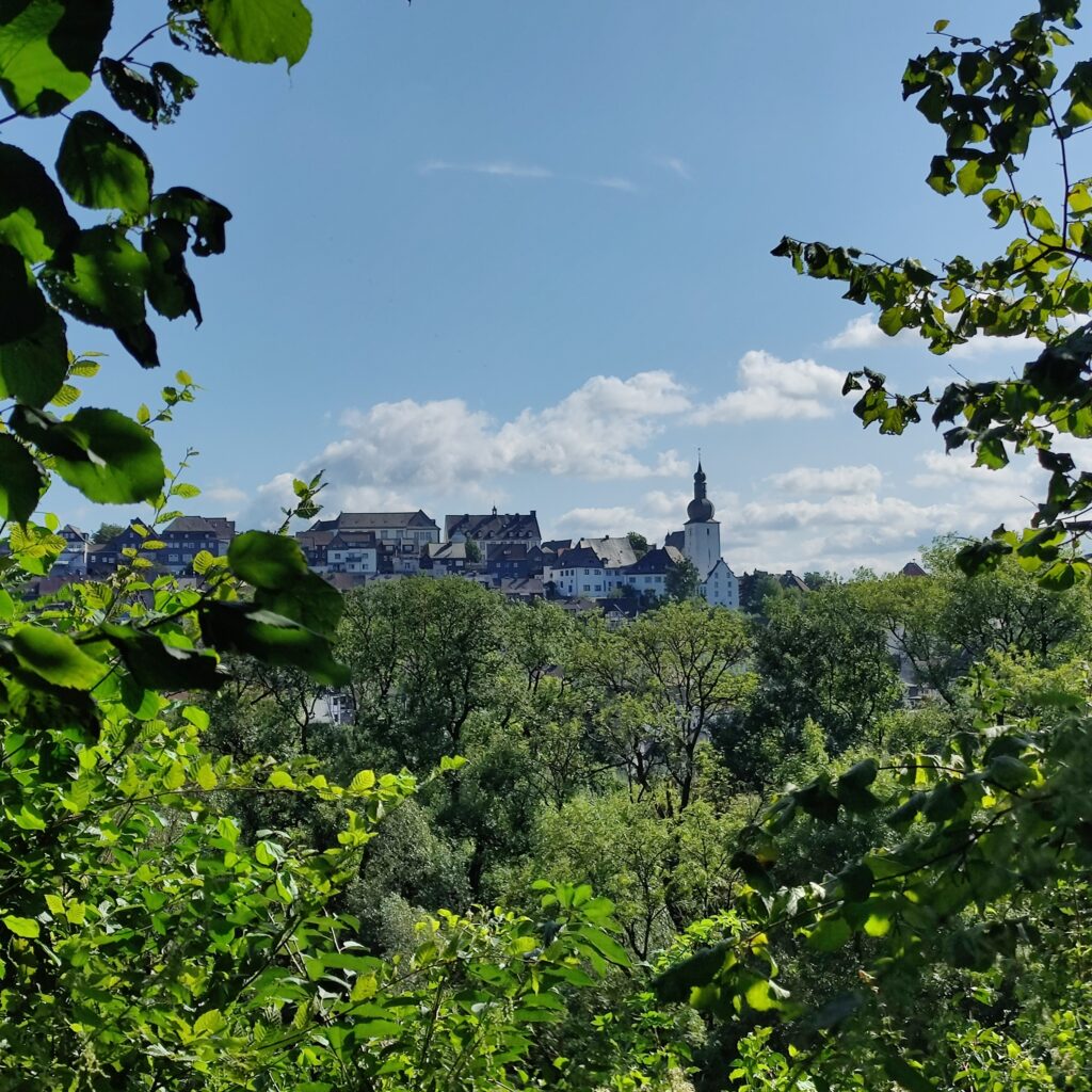 Wanderung auf dem Wennigloher Rundweg bei Arnsberg, 08/2023