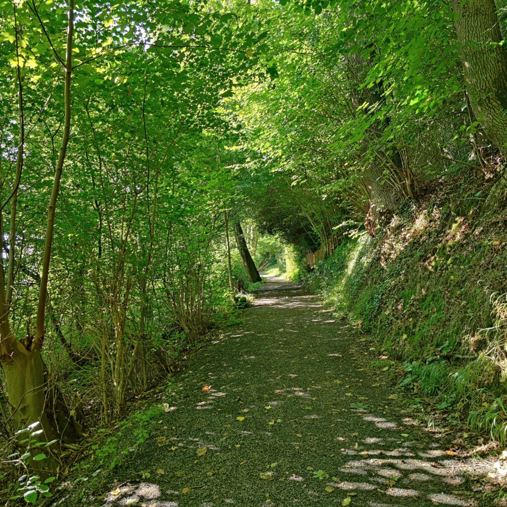 Wanderung auf dem Wennigloher Rundweg bei Arnsberg, 08/2023