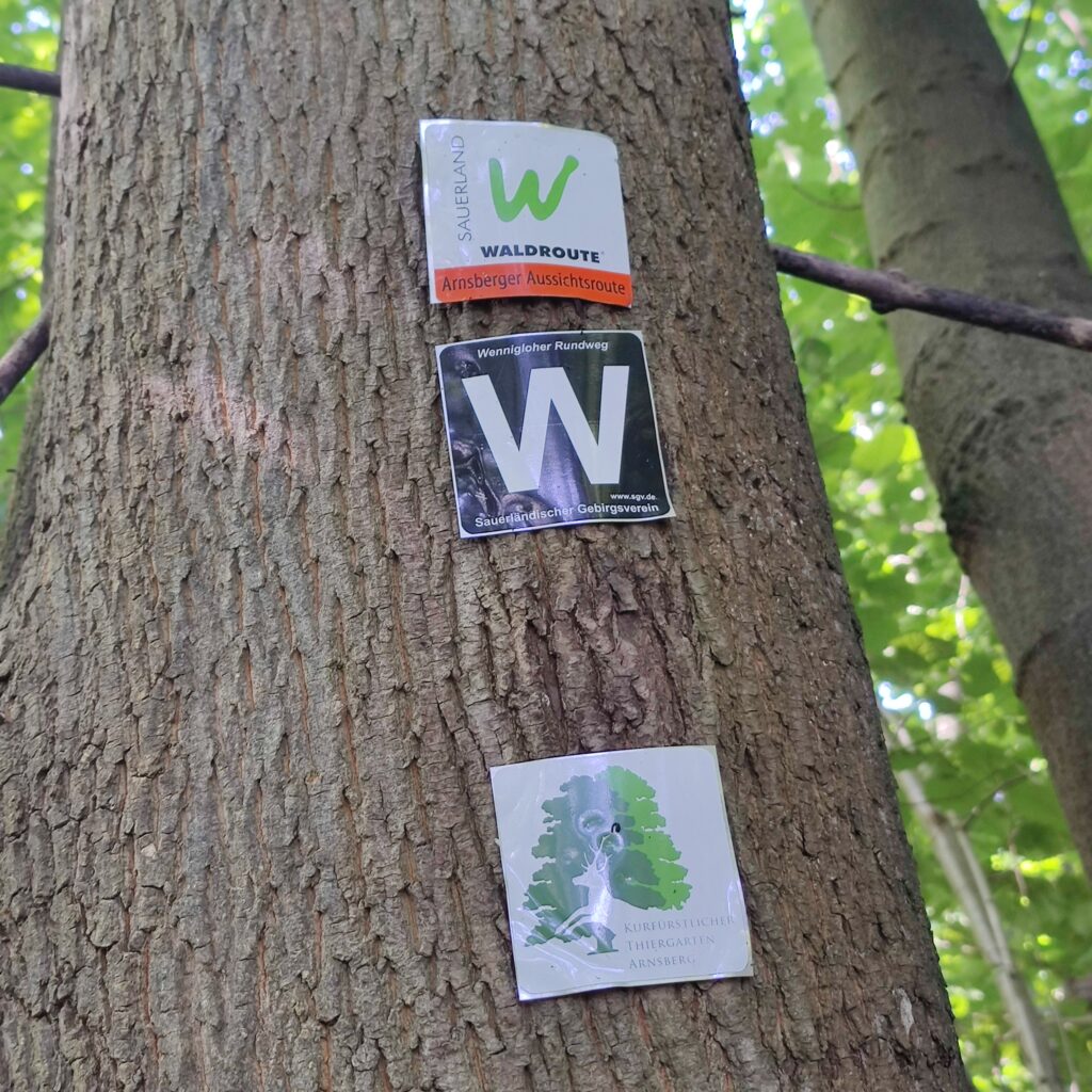 Wanderung auf dem Wennigloher Rundweg bei Arnsberg, 08/2023