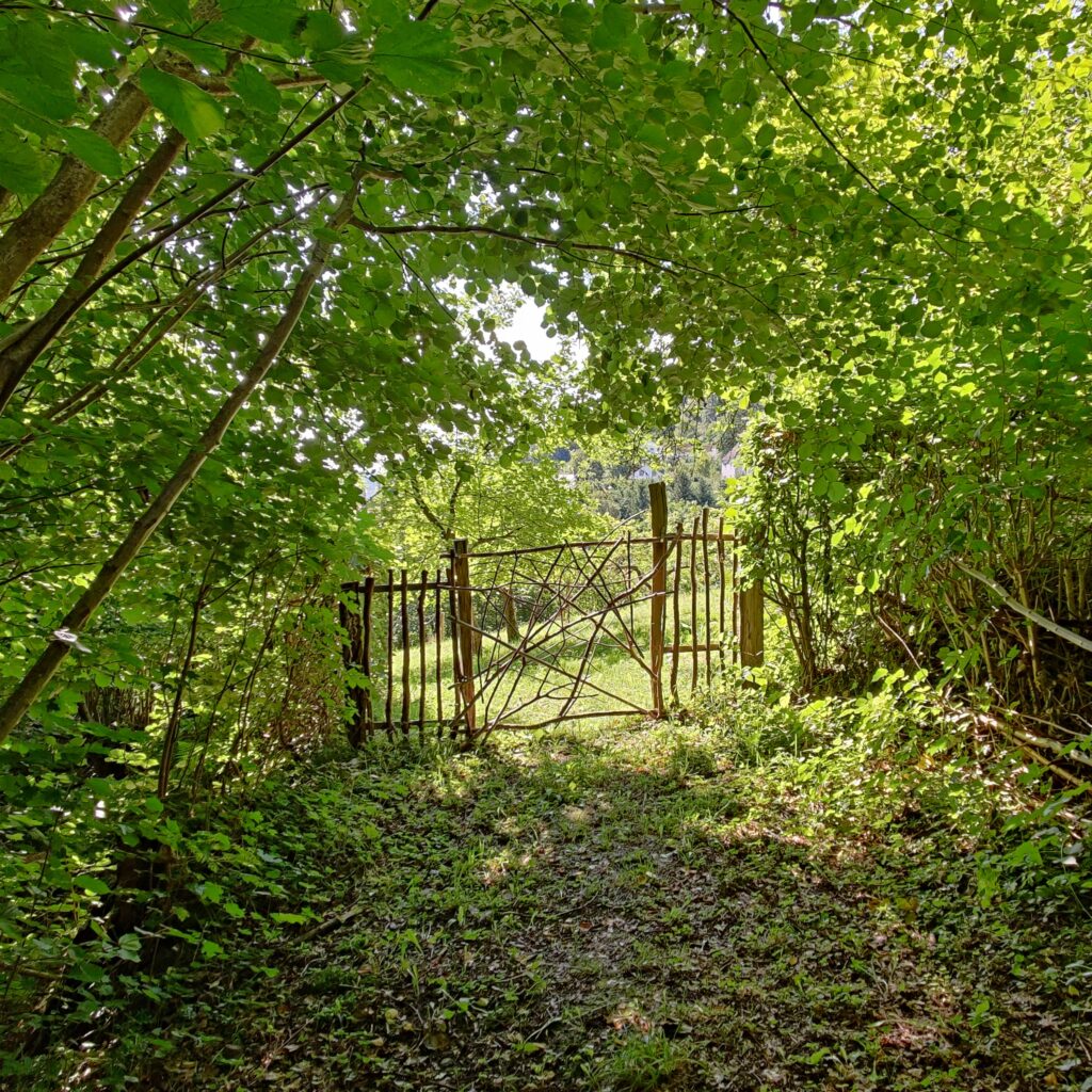 Wanderung auf dem Wennigloher Rundweg bei Arnsberg, 08/2023