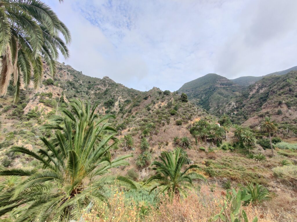 Urlaub auf La Gomera (09/ 2023)