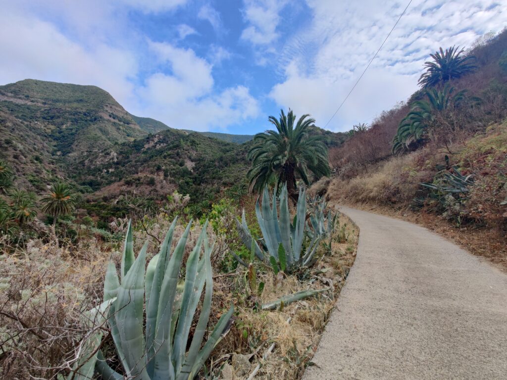 Urlaub auf La Gomera (09/ 2023)