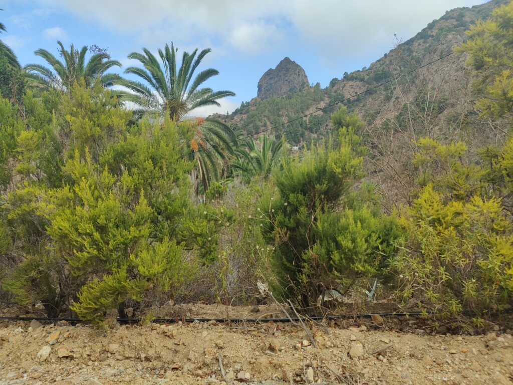 Urlaub auf La Gomera (09/ 2023)