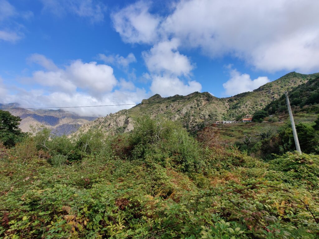 Urlaub auf La Gomera (09/ 2023)