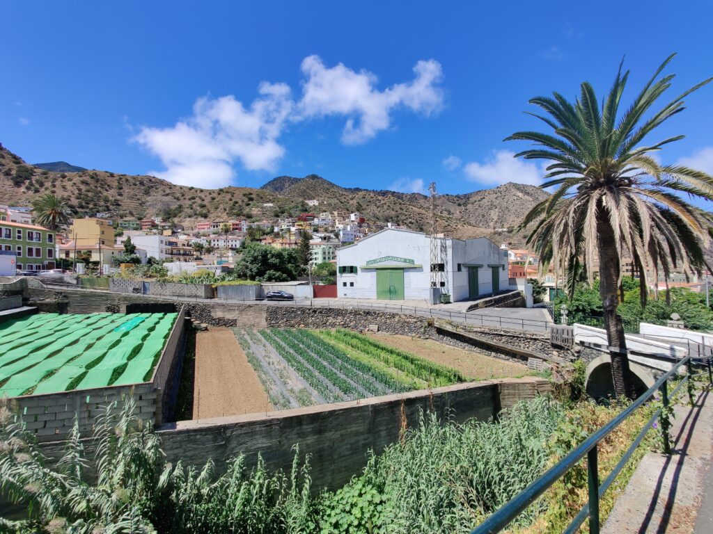 Urlaub auf La Gomera (09/ 2023)