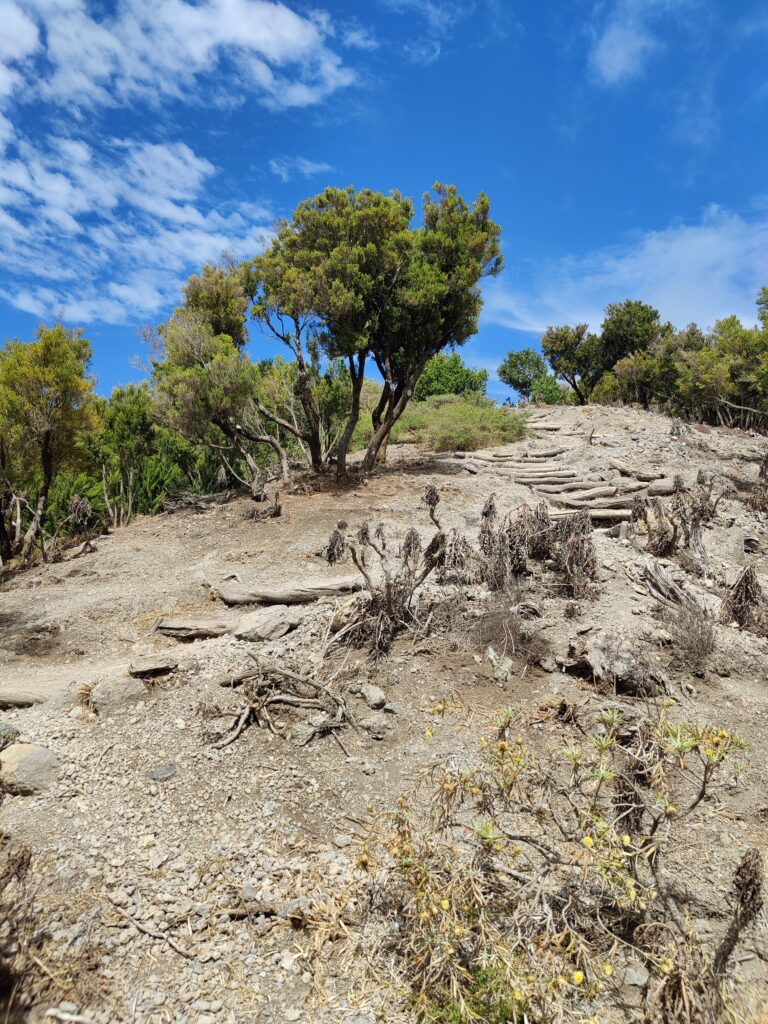 Urlaub auf La Gomera (09/ 2023)