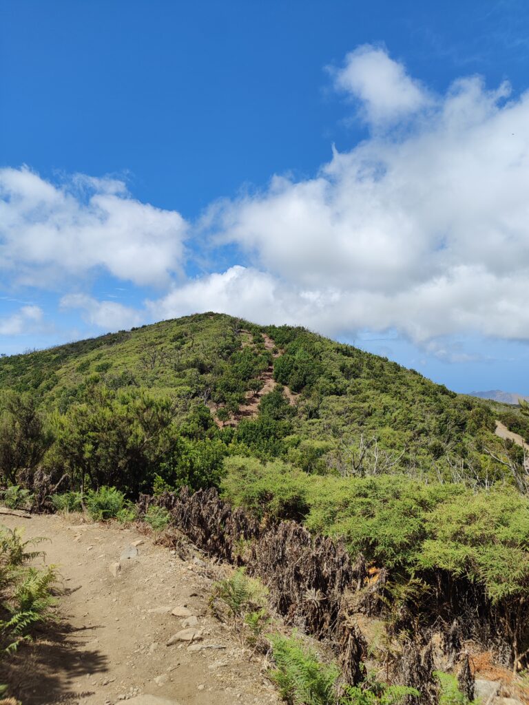 Urlaub auf La Gomera (09/ 2023)