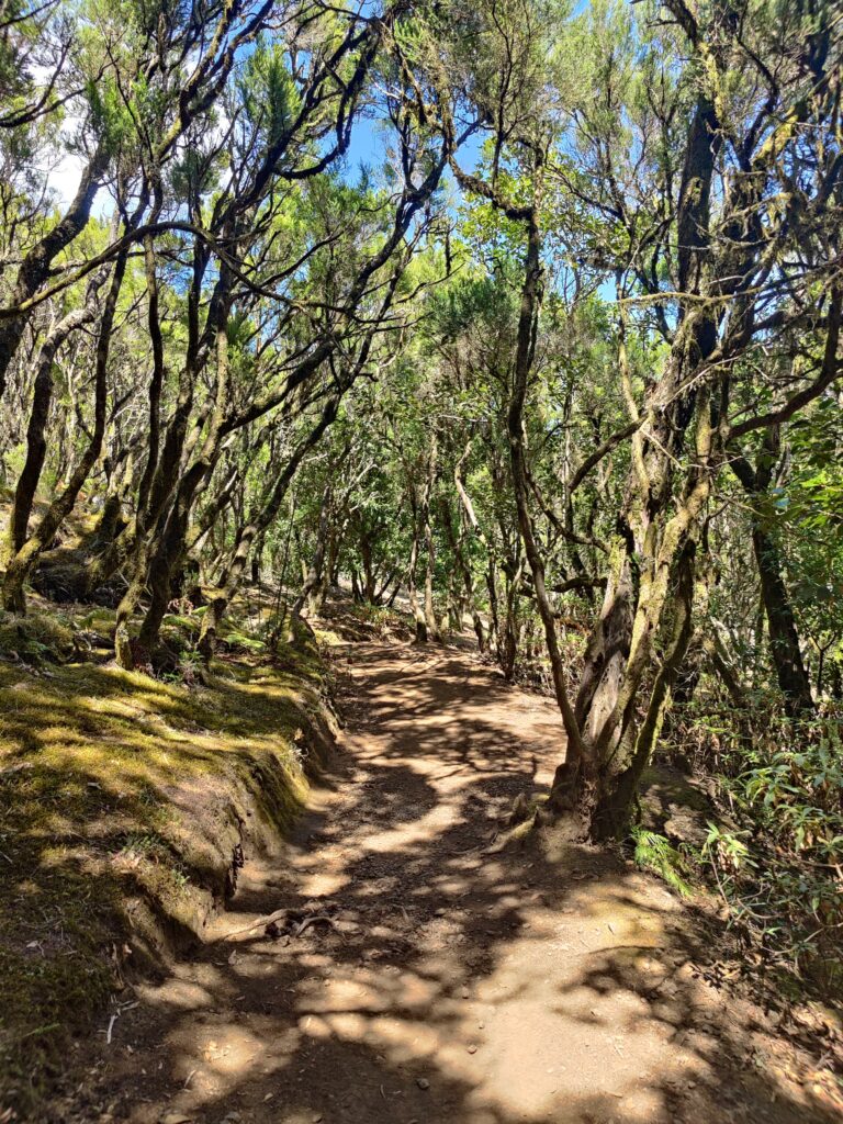 Urlaub auf La Gomera (09/ 2023)