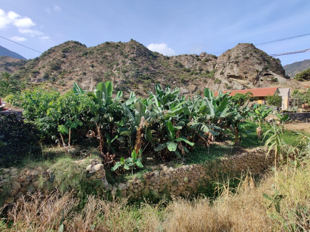 Urlaub auf La Gomera (09/ 2023)