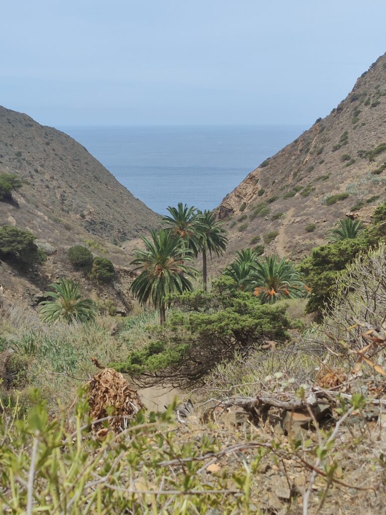 Urlaub auf La Gomera (09/ 2023)